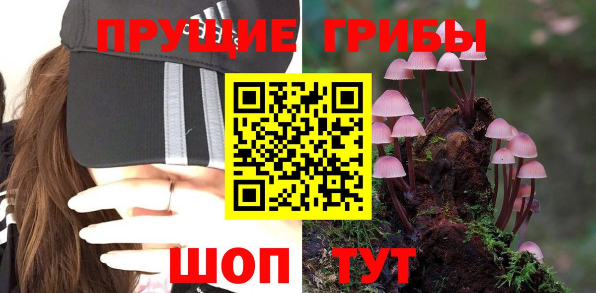 Азнакаево  Псилоцибиновые грибы Magic Shrooms  Вход с VPN  Псилоцибиновые грибы ЛСД 